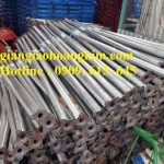CÂY CHỐNG TĂNG ĐẮK NÔNG GIÁ RẺ NHẤT