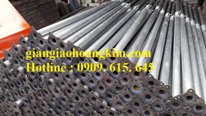 cây chống kẽm giá rẻ cây chống kẽm giá rẻ