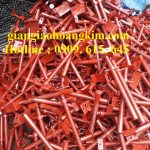 CÂY KÍCH TĂNG LÀ GÌ